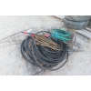 Image 6 : Tomato Cages And Nose Tie-Down + More