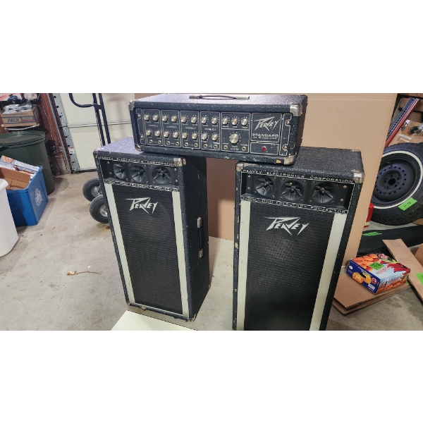 Peavey PA System With Two 16" x 36" Speakers, Two T-300 Speakers, and Speaker Cables
