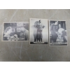 Image 7 : 1966 Topps Superman Trading Cards