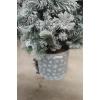 Image 4 : Artificial 6' Christmas Tree with Jack Frost Theme