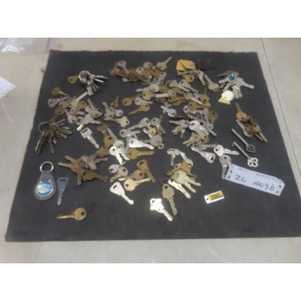 Keys, Skeleton, Keychains 1969 War Amputation Tag