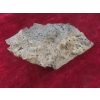 Image 2 : Lava Rock Approximately 3" x 10 1/2" x 7"