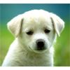 Image 2 : test
