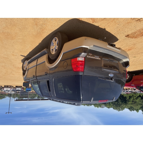 Renoir - Algerian Woman