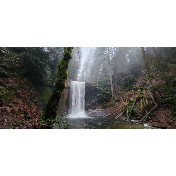  2008 VW JETTA, SILVER, 274325 KMS, FRONT WHEEL DRIVE. - P008946