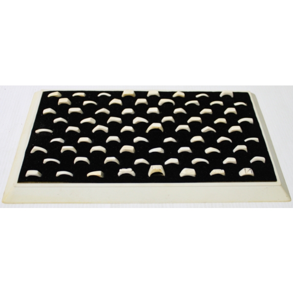72 ASST. BONE TYPE RINGS W/ DISPLAY 