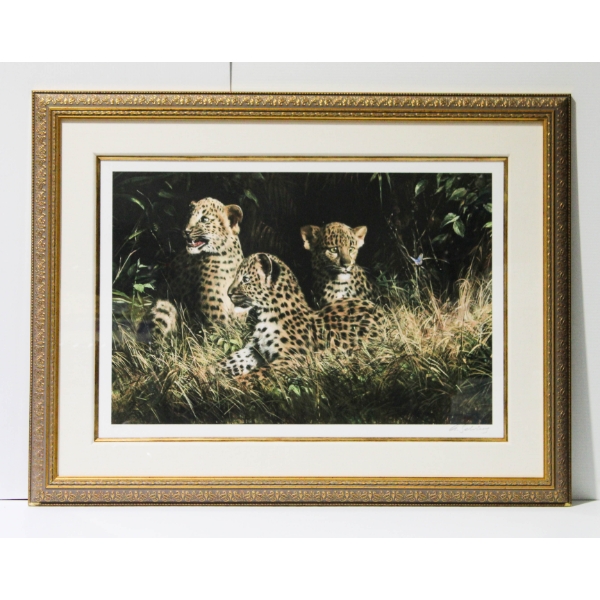 3 LEOPARD CUBS WILDLIFE SIGNED FRAMED PRINT