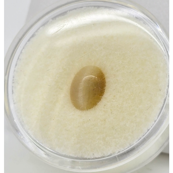 HONEY CATS EYE GEMSTONE - 8MM X 6MM