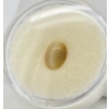 HONEY CATS EYE GEMSTONE - 8MM X 6MM