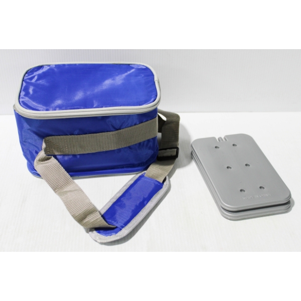 NEW LUNCH BAG W/ 2 ICE PACKS