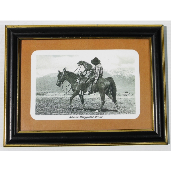 ALBERTA DESIGNATED DRIVER PHOTOCOPY FRAMED WALL ART