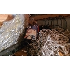 Image 1 : ASST STRING LIGHTS XMAS & HALLOWEEN DECORATIONS