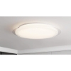 Image 1 : WOLF DOUBLE RAINBOW DIMMABLE CEILING LIGHT W// REMOTE