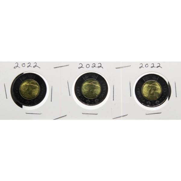 THREE 2022 QUEEN LIZ MEMORIAL $2 COINS