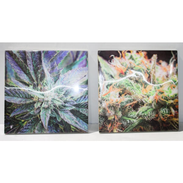 3D HOLOGRAPHIC HERB WALL ART