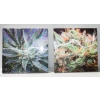 Image 1 : 3D HOLOGRAPHIC HERB WALL ART