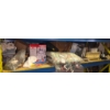 Image 1 : FULL CONTENTS OF SHELF 