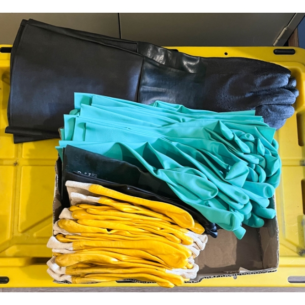15+ ASST CHEMICAL RESISTANT GLOVES L- XL
