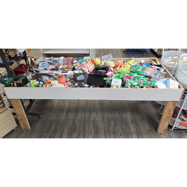 FULL CONTENTS OF MYSTERY ITEMS WITH BIN