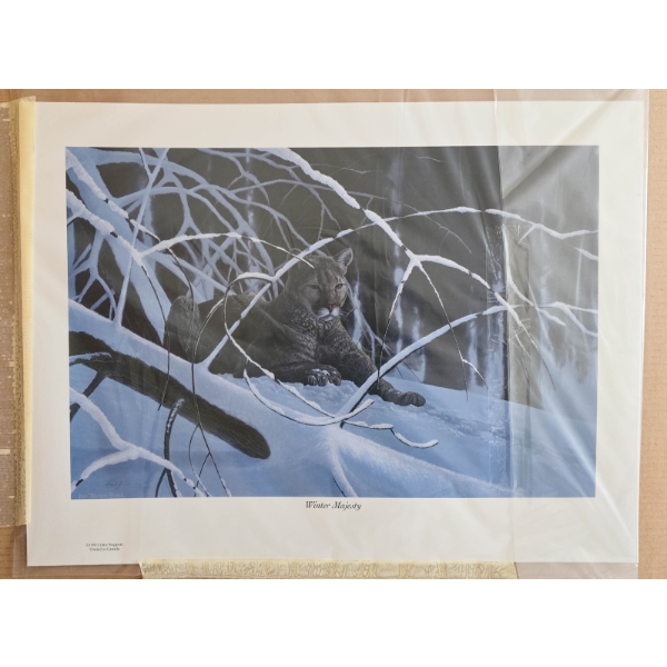 WINTER MAJESTY - CRIME STOPPERS PRIZE PRINT 1998