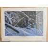 Image 1 : WINTER MAJESTY - CRIME STOPPERS PRIZE PRINT 1998