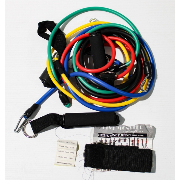 RESISTANCE BAND SET - 10 LBS TO 30 LBS