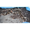 Image 2 : 6.8 KG FOLEYS DARK ALMOND BARK BULK