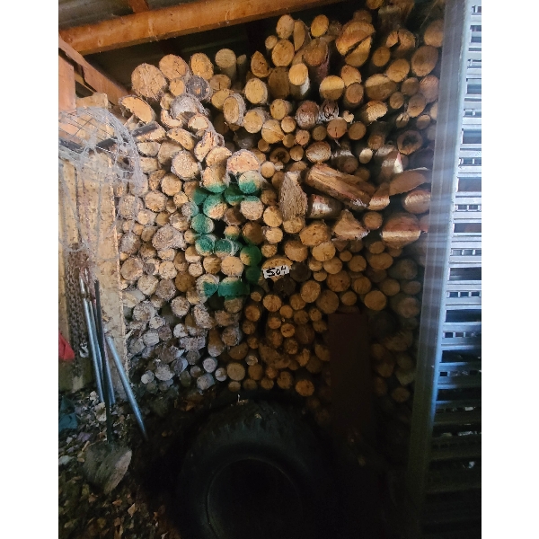 POPLAR LOGS FOR FIREWOOD ROUGHLY 5 CORD
