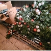 Image 1 : SST STRING LIGHTS XMAS TRAIN GARLAND ETC. 