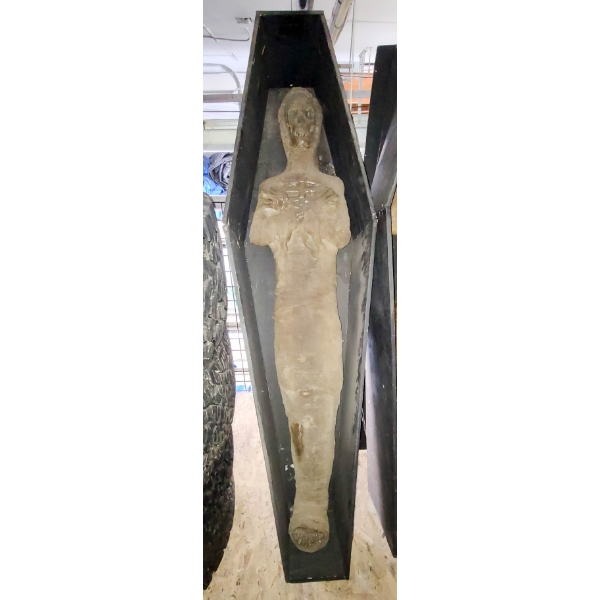 HALLOWEEN COFFIN W/ MUMMY & LID 