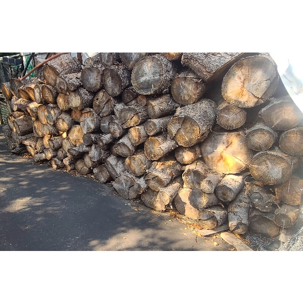 LOGS STRUCTURAL BEAMS & LUMBER CUT FOR FIREWOOD ROUGHLY 6 CORD