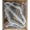 Image 1 : BOX OF NEW CLOTHES HANGERS