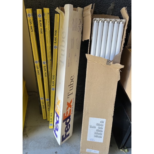 36” FLORESENT LIGHT BULBS