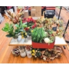 Image 1 : LARGE LOT OF ASSORT. FLOWER ARRANGEMENTS