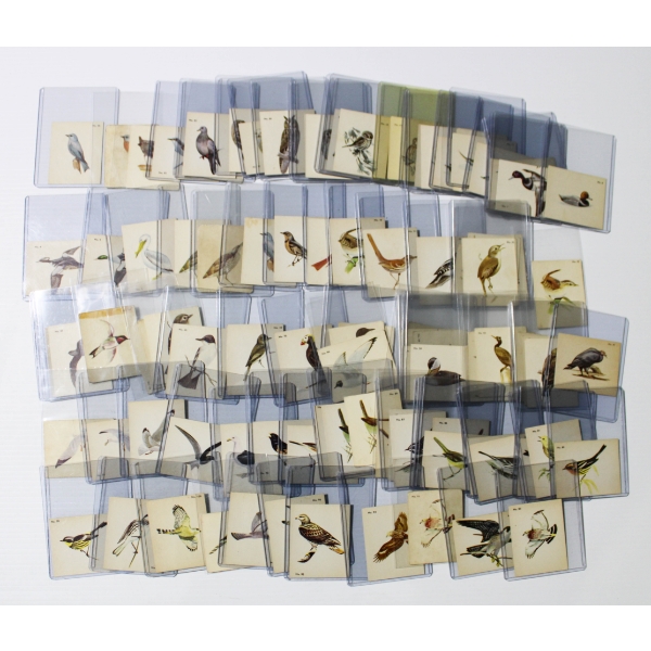 PARKHURST BIRDS AUDUBON SOCIETY NON-SPORT TRADING CARDS