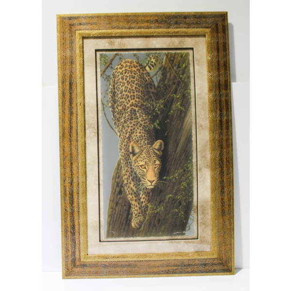 "TWILIGHT VIGIL" LEOPARD ANDREW BONE SIGNED FRAMED PRINT