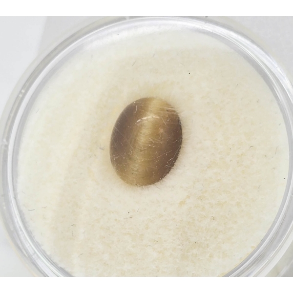 HONEY CATS EYE GEMSTONE - 9MM X 7MM