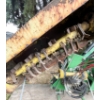 Image 6 : JOHN DEERE 90 THREE POINT HITCH EXTENDABLE ROTARY MOWER