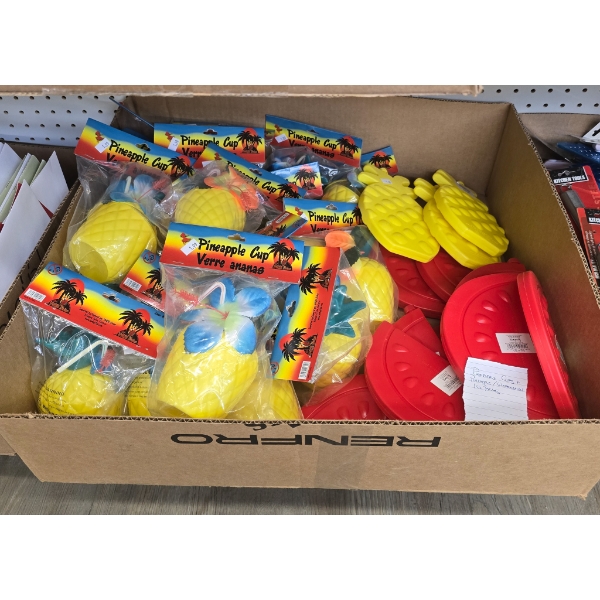 PINEAPPLE CUPS & PINEAPPLE/WATERMELON ICE PKS
