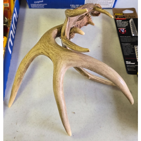 PAIR OF ANTLER SHEADS