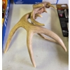 Image 1 : PAIR OF ANTLER SHEADS