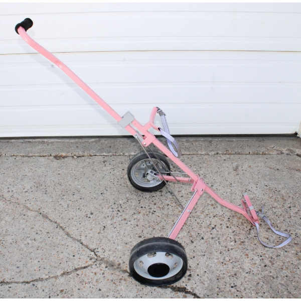 GOLF CART CADDY - PINK