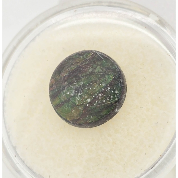 AMMOLITE GEMSTONE - 11.5MM