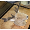 Image 1 : MOCK DEER HEAD MOUNT
