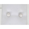Image 1 : 14k WHITE GOLD AKOYA PEARL 5.5MM EARRINGS