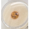 CITRINE 1.75CT GEMSTONE