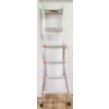 6 RUNG CUSTOM EXTENDABLE LADDER