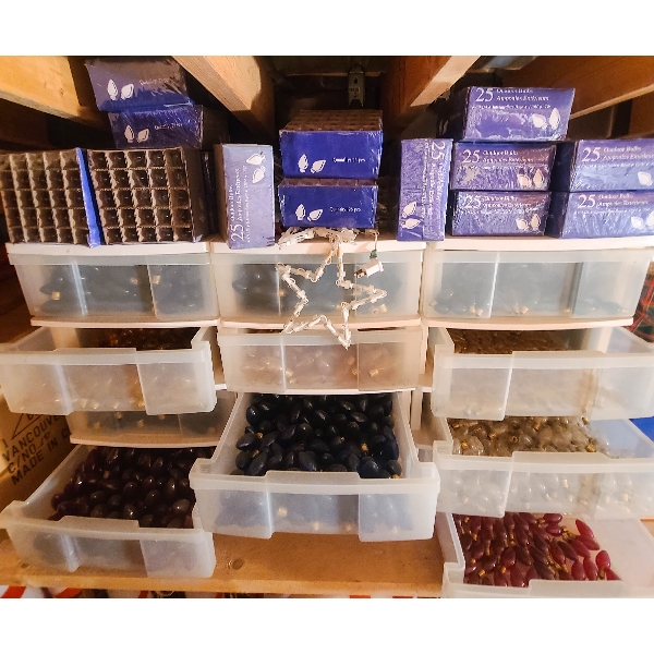 HUNDREDS ASST CHRISTMAS BULBS W/ BINS 