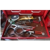 Image 10 : BEACH TOOL CHEST - TOP & BOTTOM W/ CONTENTS