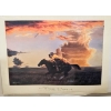 Image 1 : TIM COX JUST FOR THE HECK OF IT ART PRINT